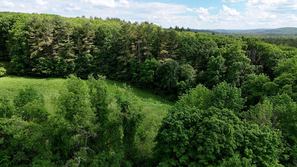 0 Brooks Pond Rd (Large Parcel)