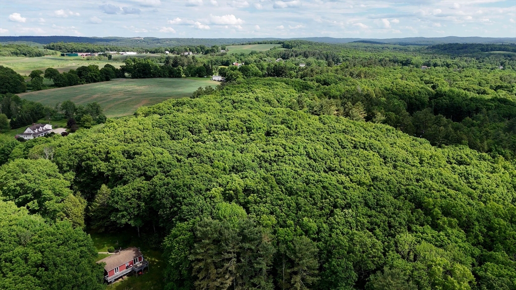 0 Brooks Pond Rd (Large Parcel)