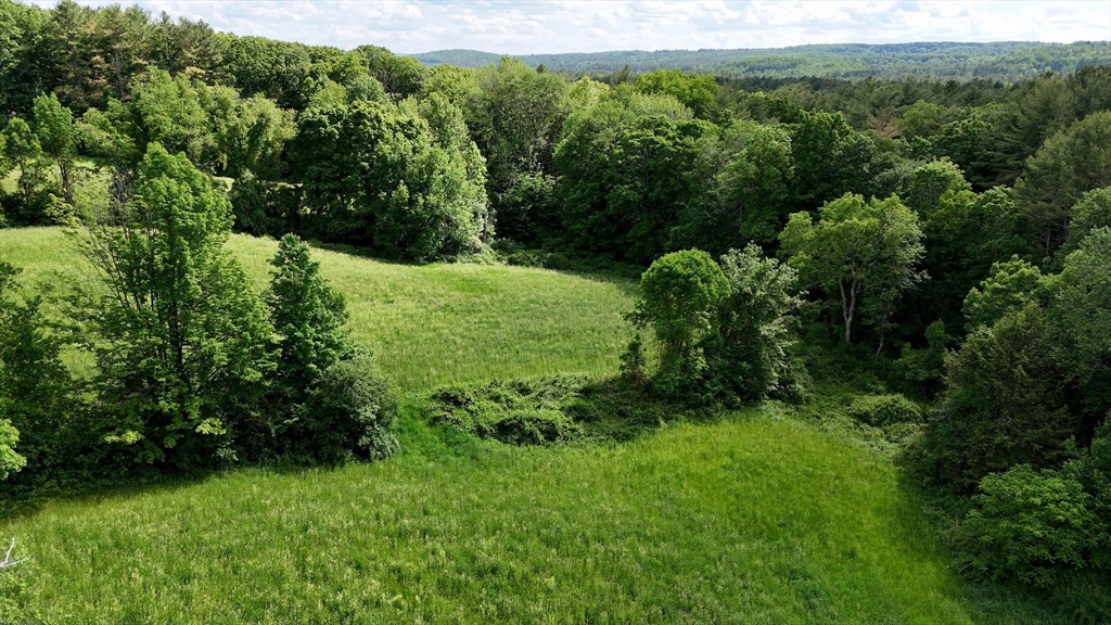 0 Brooks Pond Rd (Large Parcel)