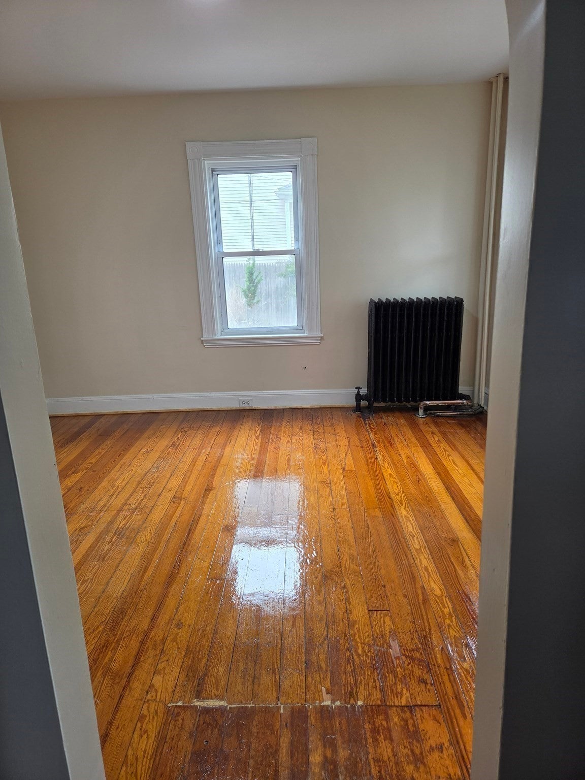 26 Fairview Street #1A, Dedham, MA, 26 Fairview Street #1A, Dedham, MA Photo #12