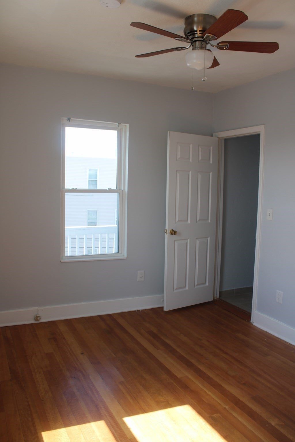 31 Topliff St #3, Boston, MA, 31 Topliff St #3, Boston, MA Photo #19