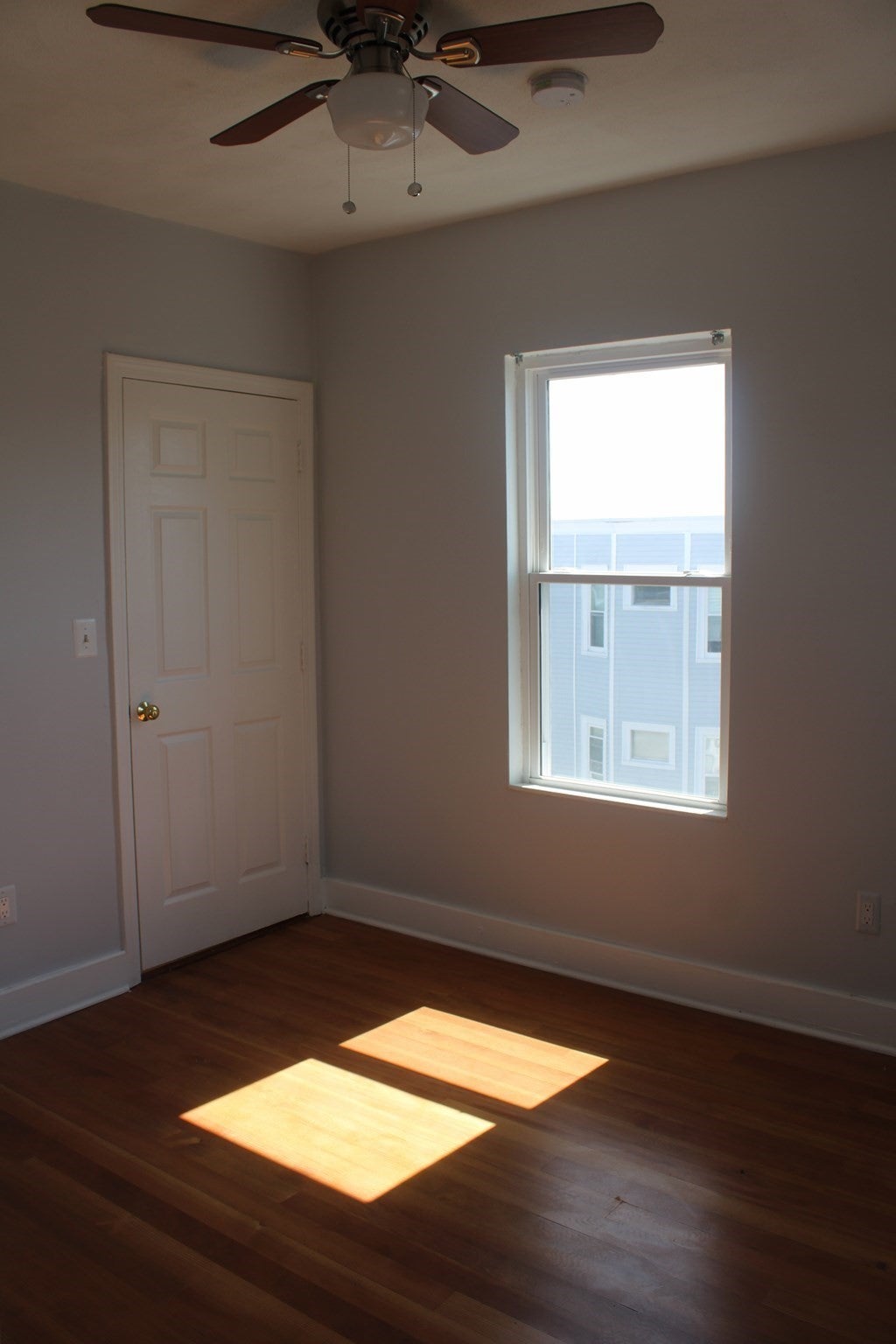31 Topliff St #3, Boston, MA, 31 Topliff St #3, Boston, MA Photo #22