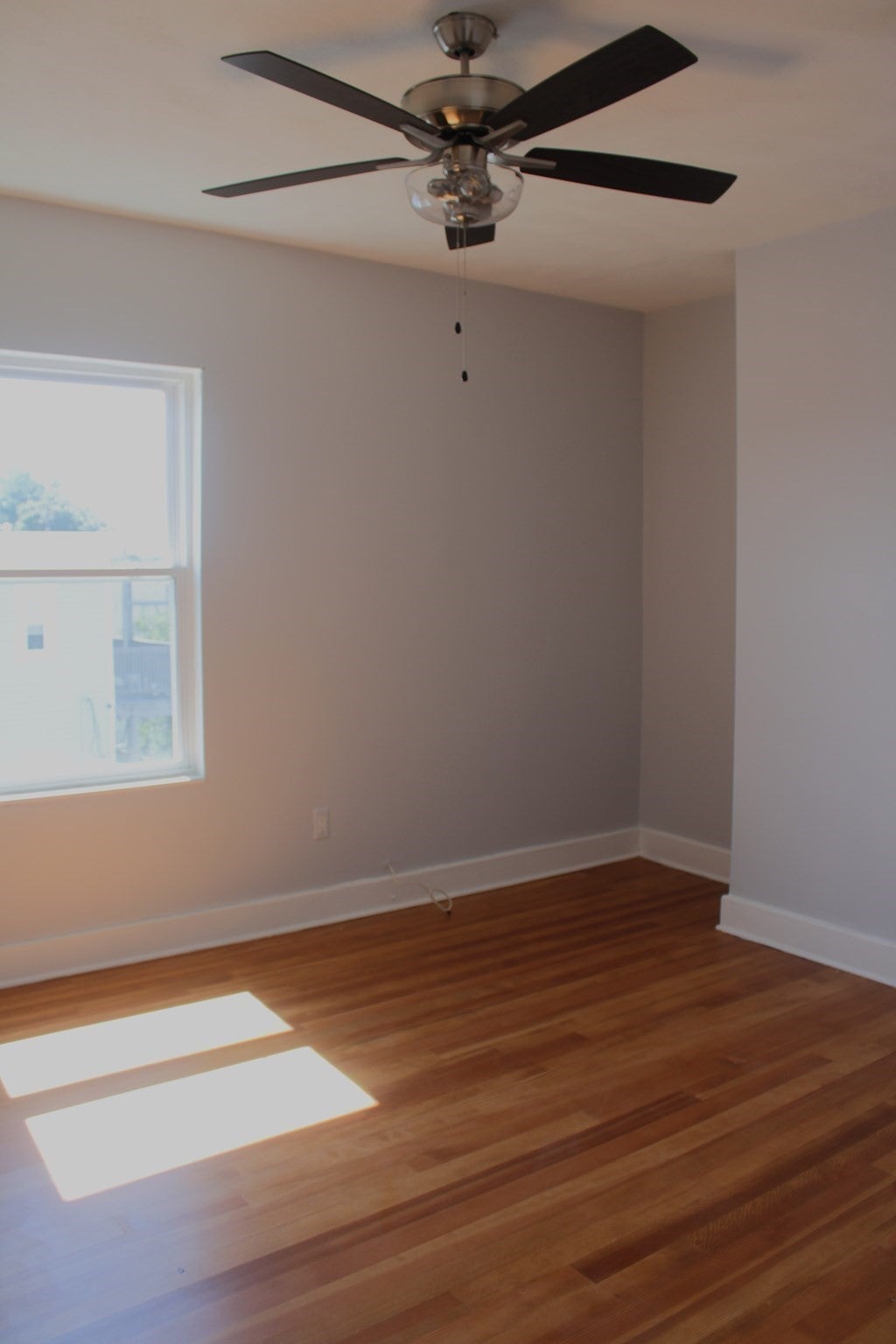 31 Topliff St #3, Boston, MA, 31 Topliff St #3, Boston, MA Photo #11