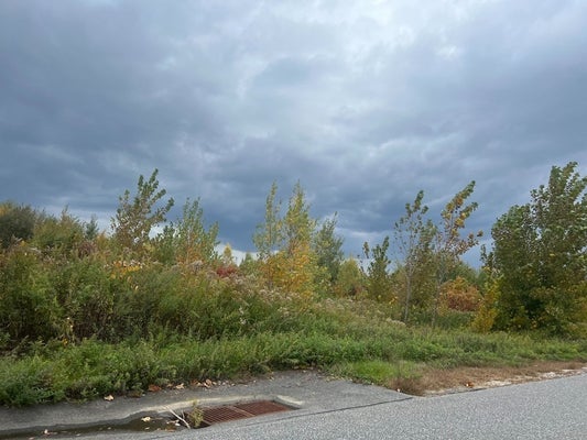 HAYNES HILL RD, BRIMFIELD, MA 01010 - Image b77f9c81f2fdb69aafb02c2aa320453d/1467368407