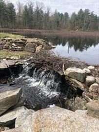 31 CENTRAL TPKE, SUTTON, MA 01590 - Image b7d7b87b194fd7429c8a44db4776bce1/1859749112