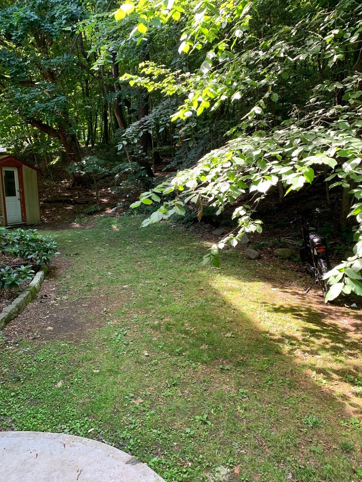Photo 3