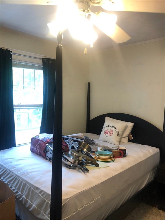 29 Chetwynd Rd #1, Somerville, MA Photo #7