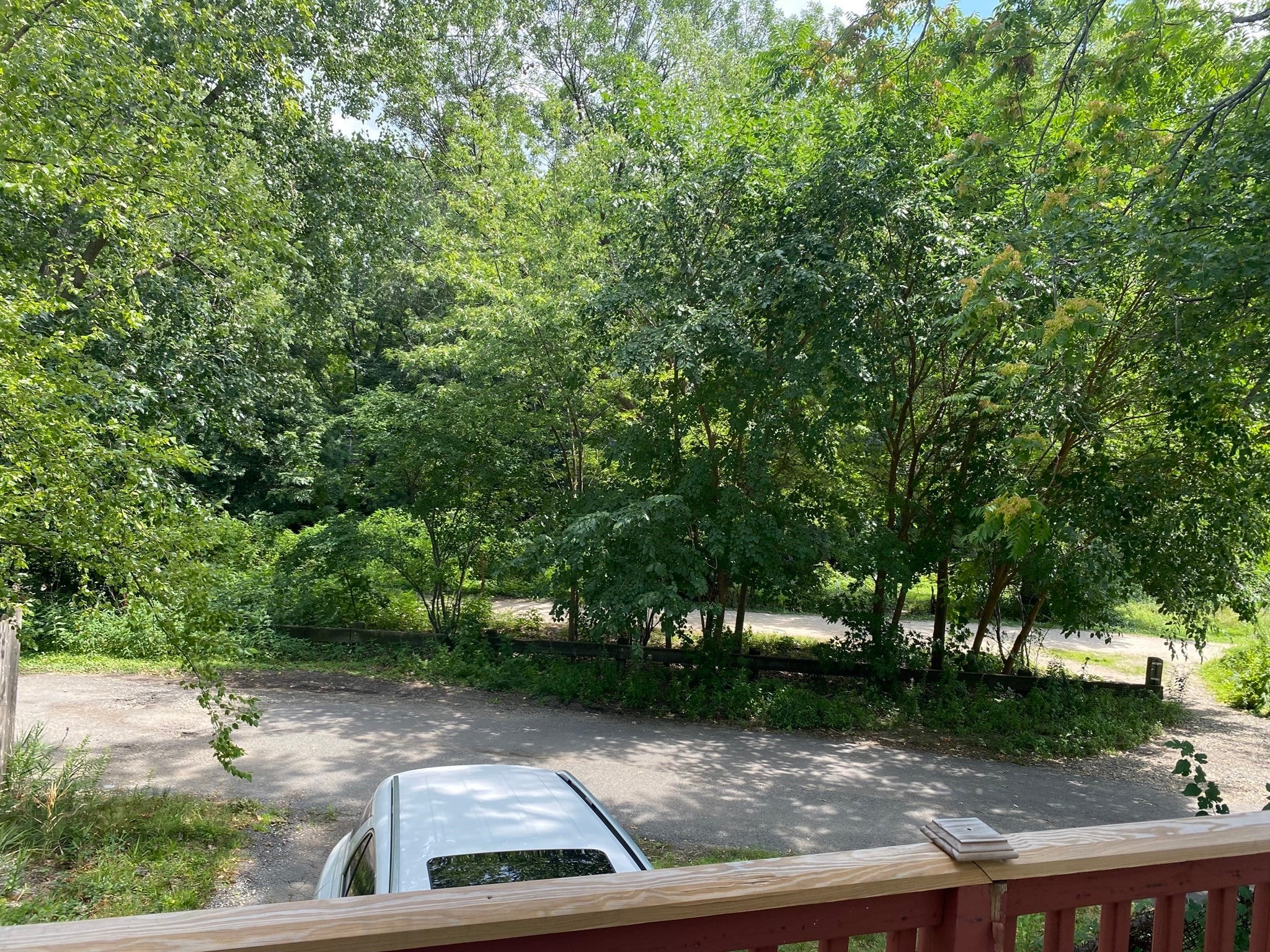 Photo of 35 Sunnyside Ave, Arlington, MA