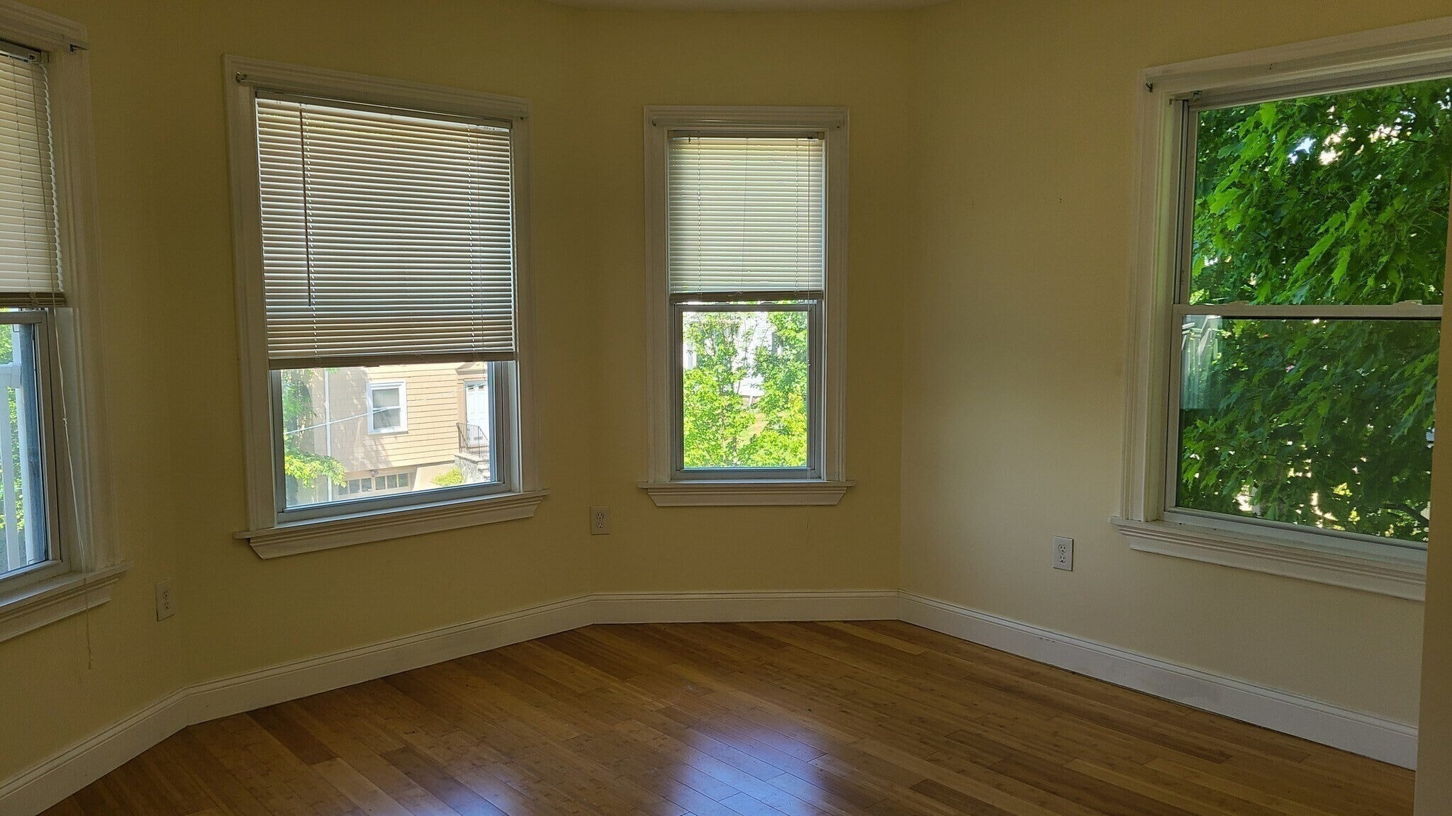 9 Alban St #3, Boston, MA Photo #3