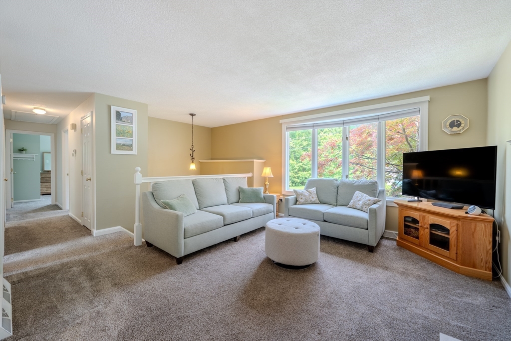 13 Cove St