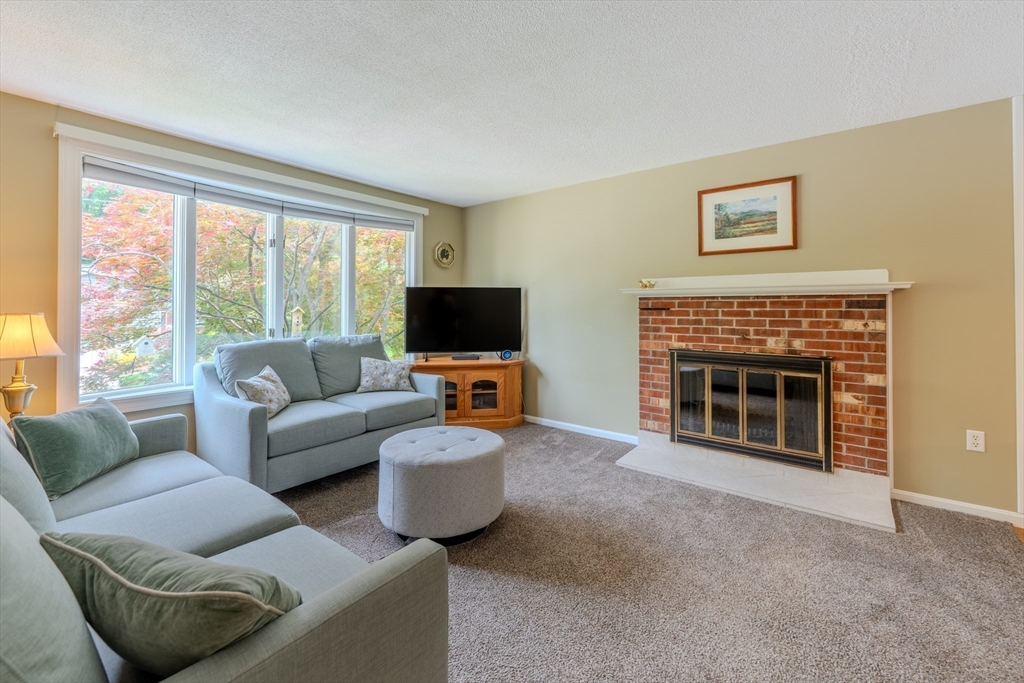 13 Cove St