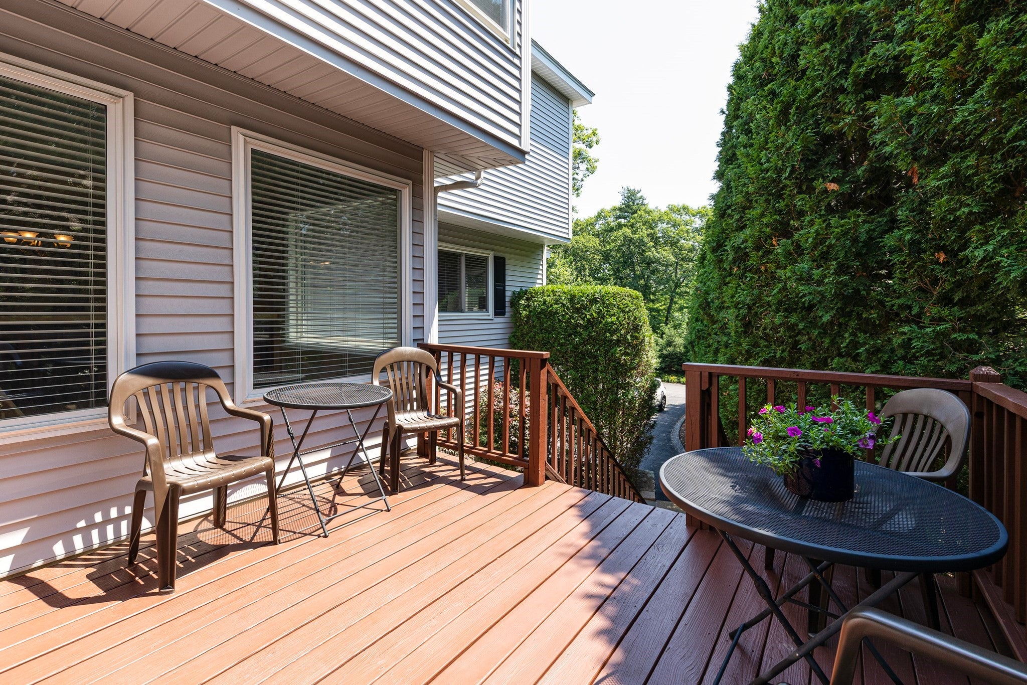 244 Algonquin Trail 244