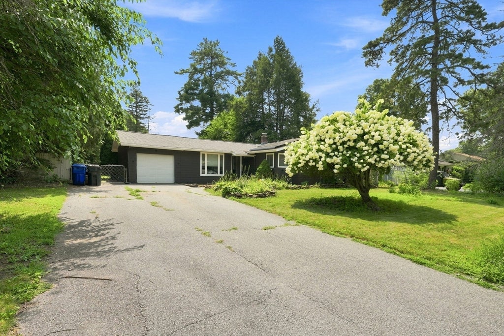 55 Lindsay Rd
