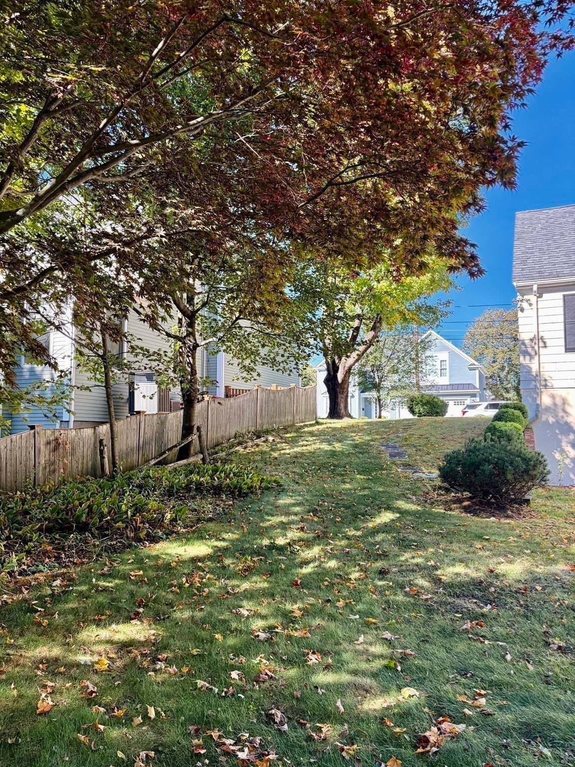 66 Pilgrim Road, Needham, MA Photo #18