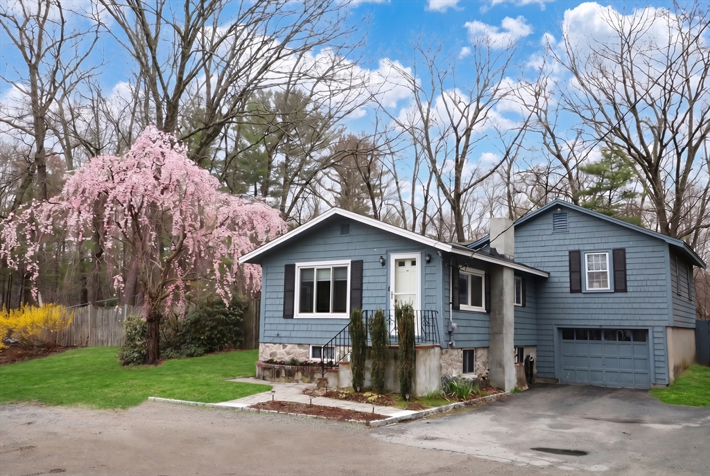 3 Shenandoah