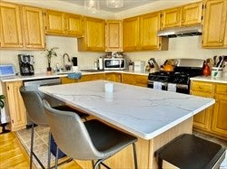 Photo of 14 Gilbert Street, Newton, MA