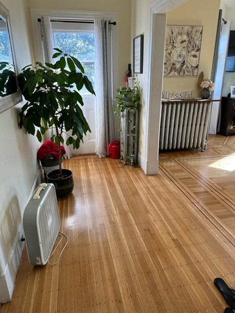 38 Chestnut St