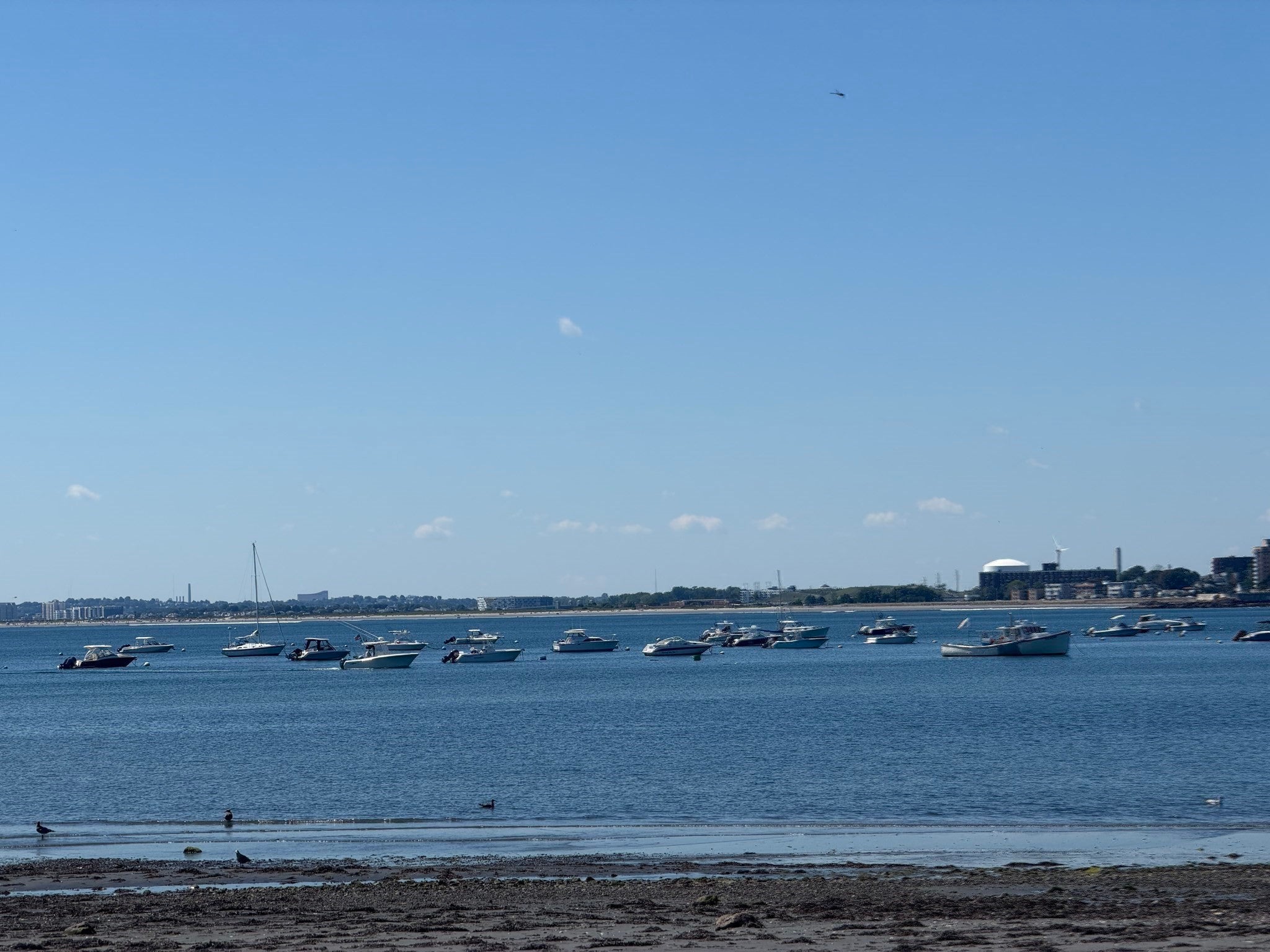 74 Puritan Road, Swampscott, MA Photo #27