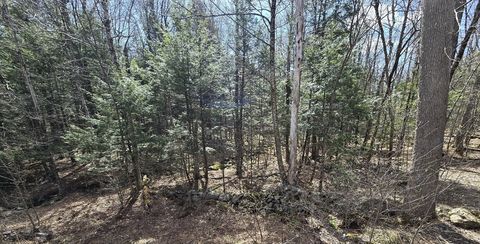 Photo of 360 Jacob's Ladder Rd, Becket, MA 01223 (MLS # 73511866)