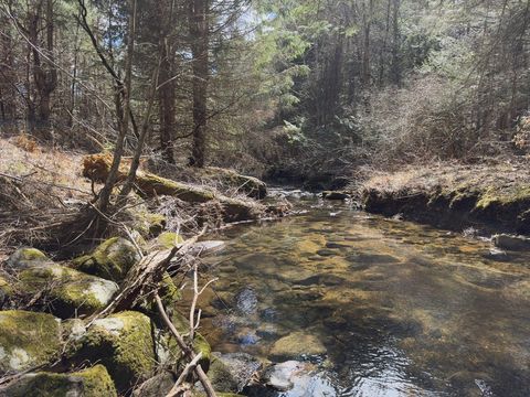 Photo of 151 Ashfield Road, Williamsburg, MA 01096 (MLS # 73500843)