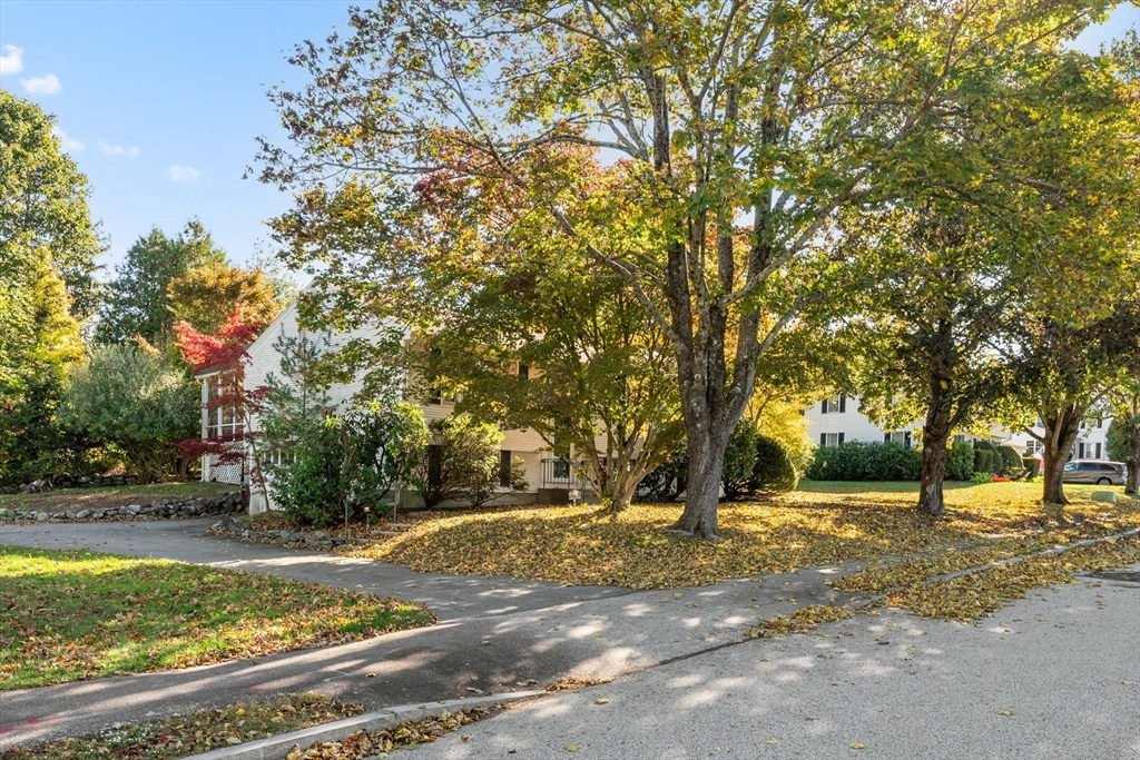 16 Ward Ln