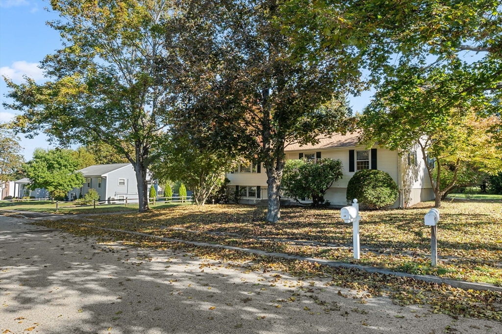 16 Ward Ln