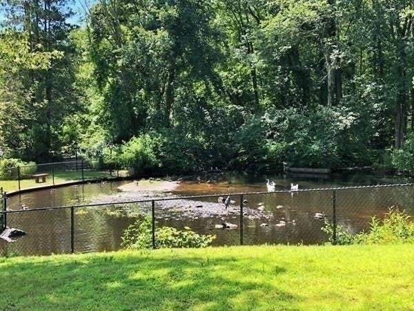 13 Shadowbrook Ln #38, Milford, MA, 13 Shadowbrook Ln #38, Milford, MA Photo #23