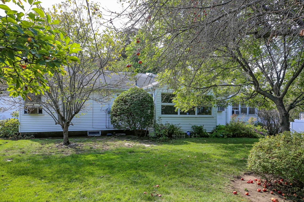 42 Ellis Dr