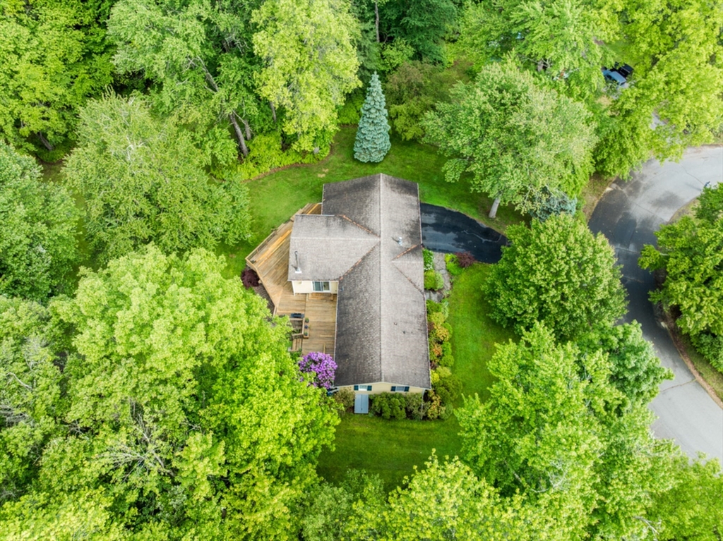54 Deepwoods Dr