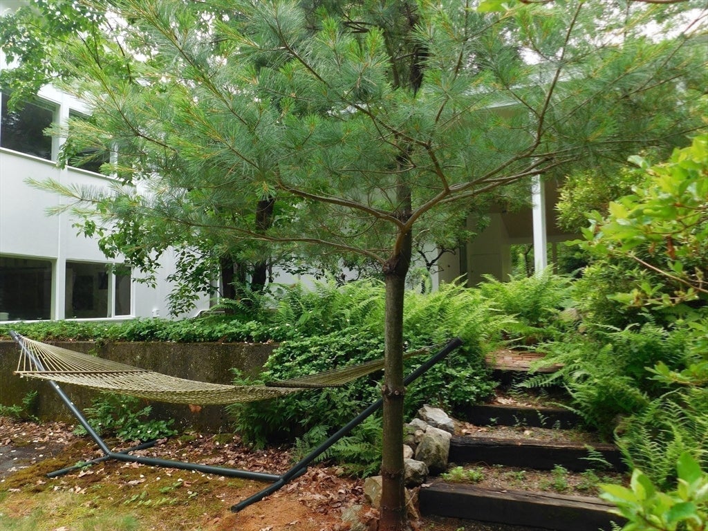 60 Shaw Drive, Wayland, MA Photo #34