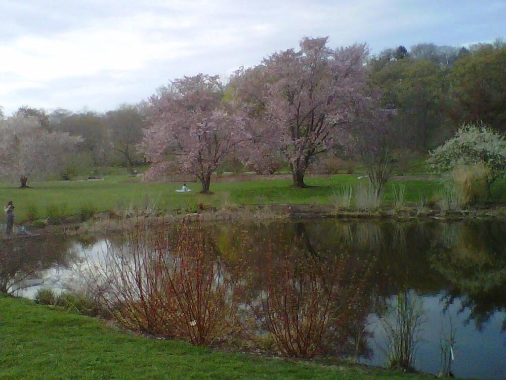 21 Conway St, Boston, MA, 21 Conway St, Boston, MA Photo #41