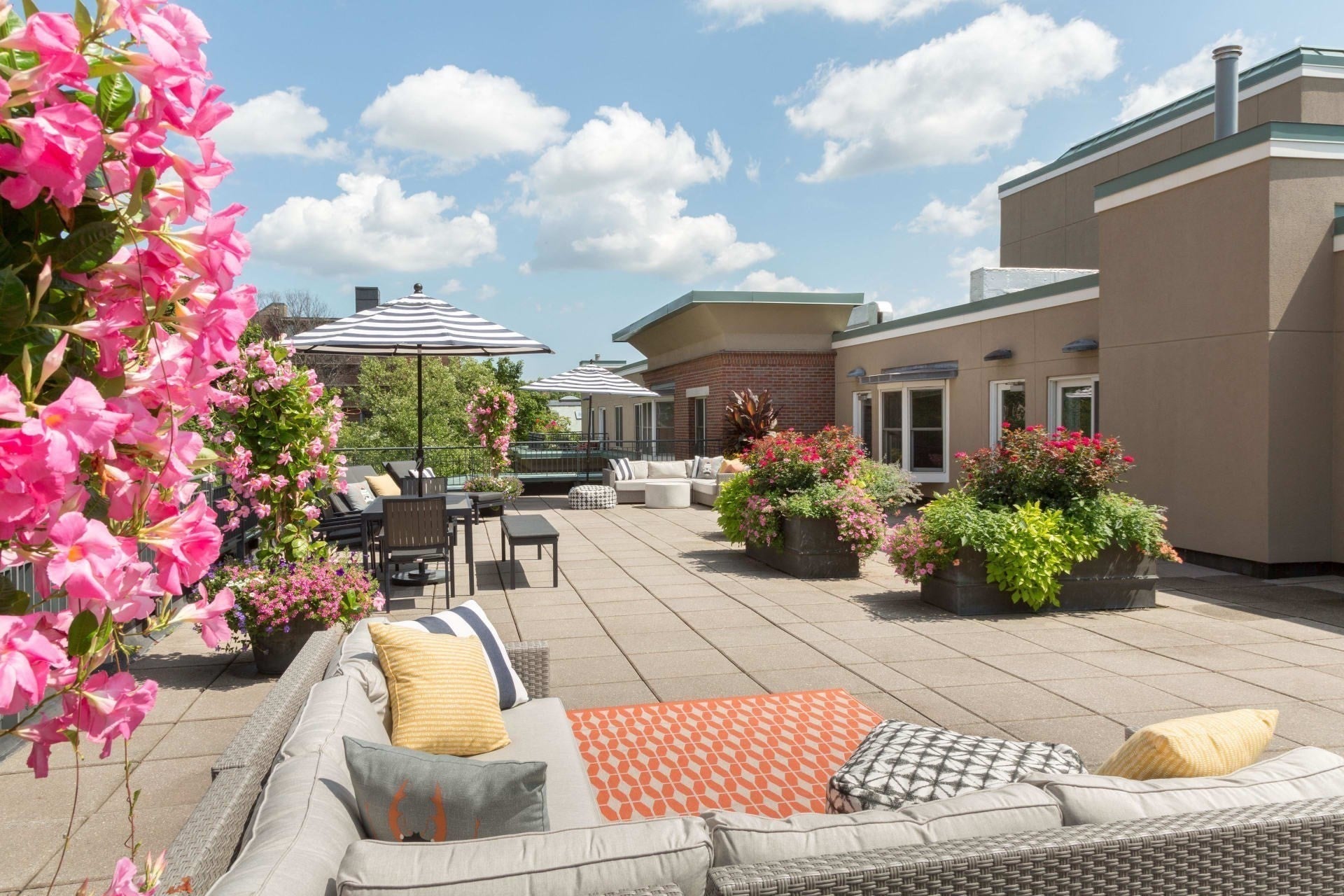 77 Marion St #106, Brookline, MA, 77 Marion St #106, Brookline, MA Photo #9