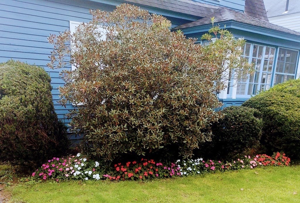 31 Barnard Rd, Worcester, MA Photo #2