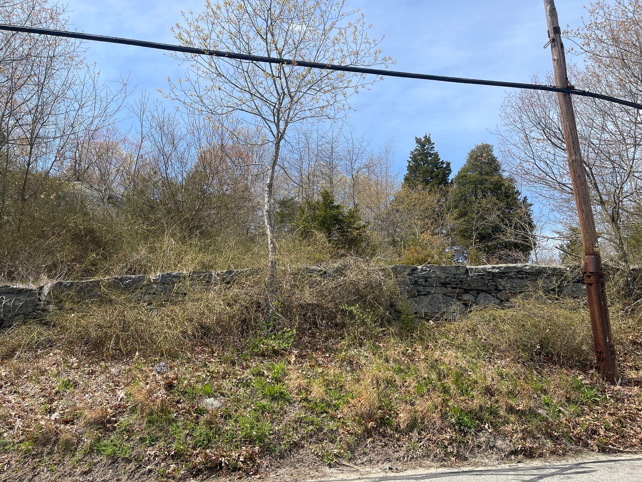 2734 Elm Street (Lot 2)