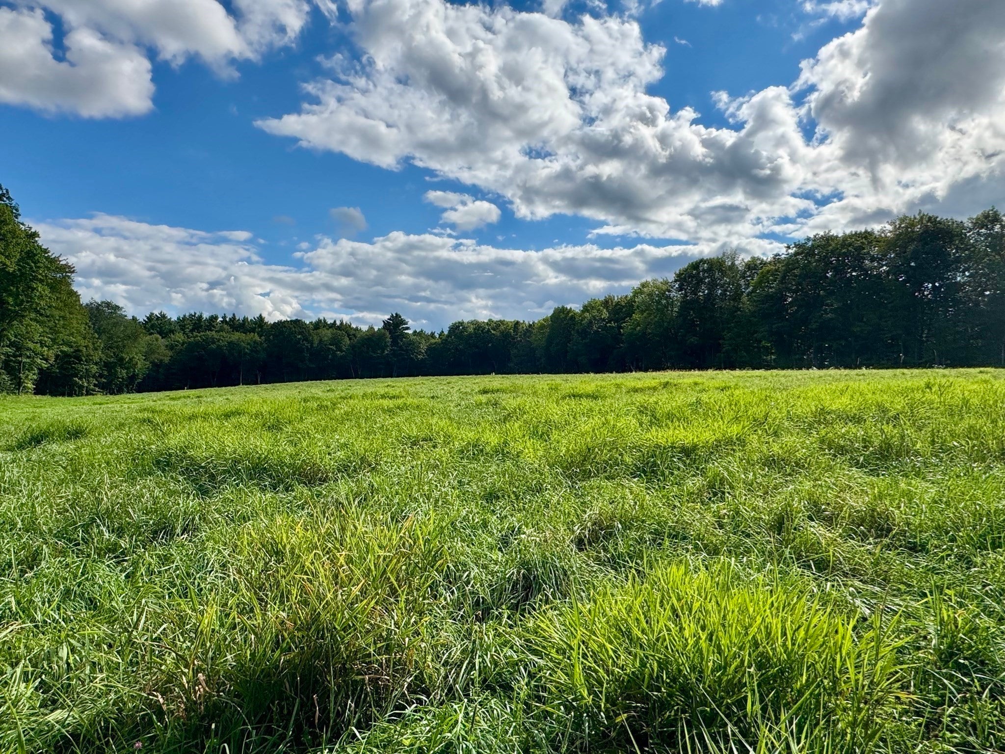 54 Patten Road, Shelburne, MA, 54 Patten Road, Shelburne, MA Photo #38