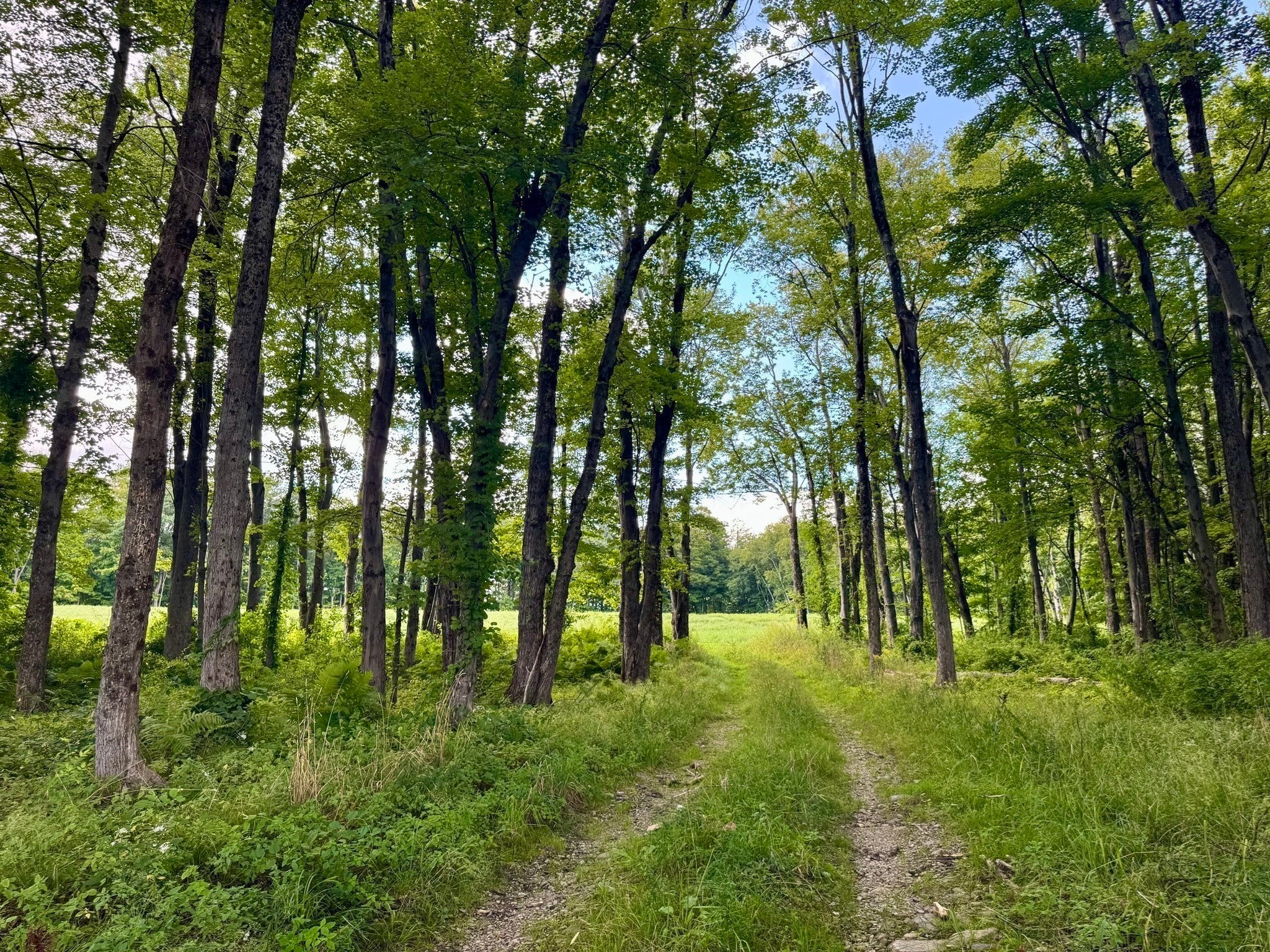 54 Patten Road, Shelburne, MA, 54 Patten Road, Shelburne, MA Photo #39