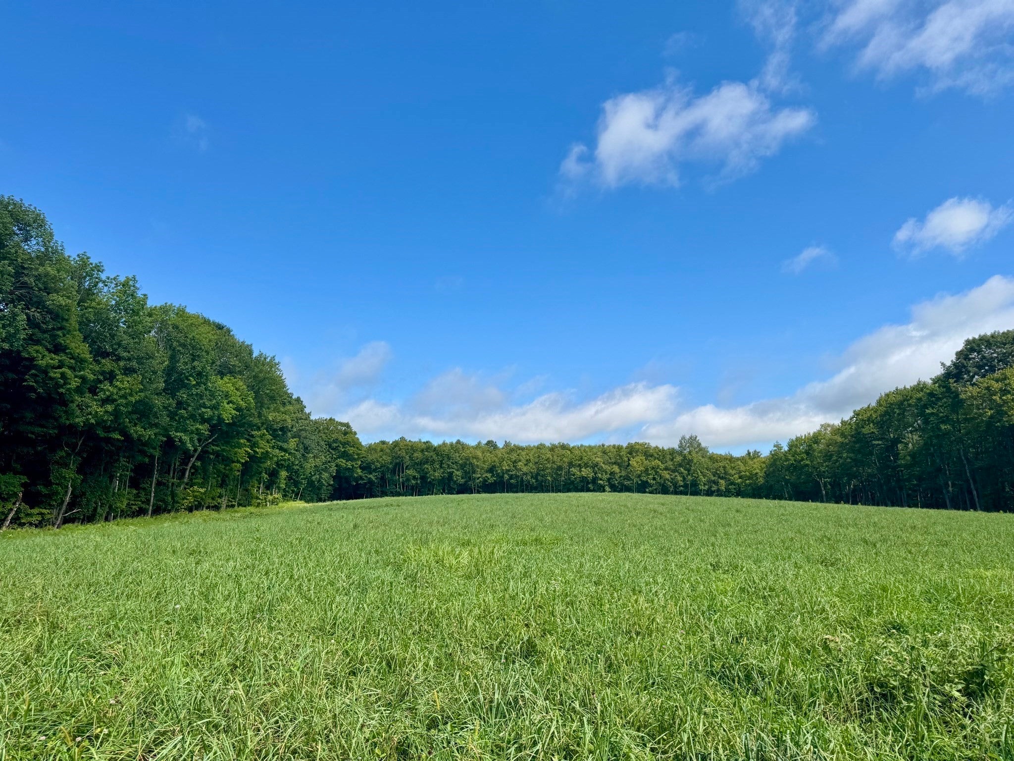 54 Patten Road, Shelburne, MA, 54 Patten Road, Shelburne, MA Photo #36