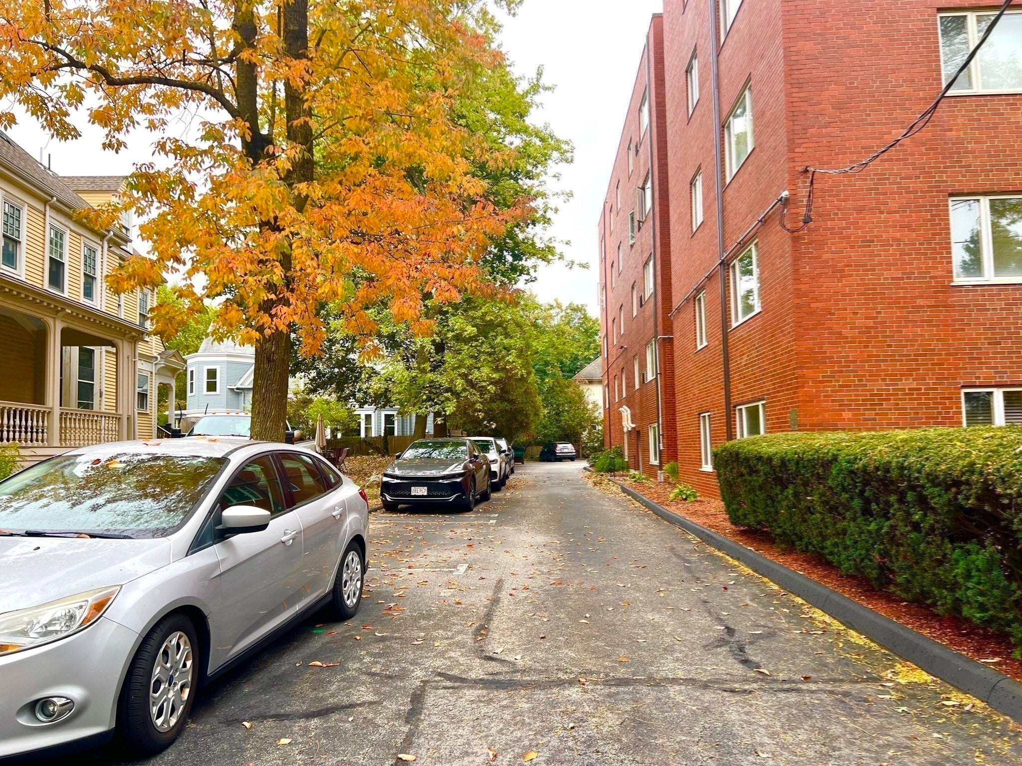 114 Pleasant St #406, Arlington, MA, 114 Pleasant St #406, Arlington, MA Photo #12