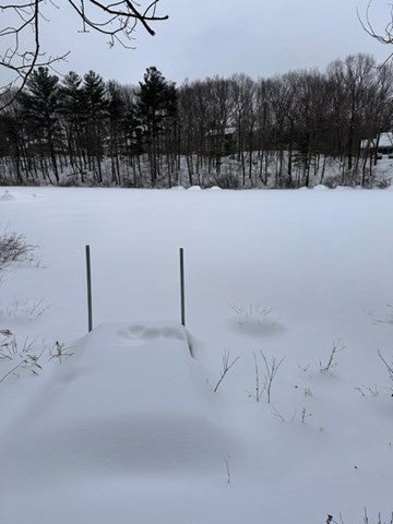 250 Palisades Cir, Stoughton, MA, 250 Palisades Cir, Stoughton, MA Photo #42