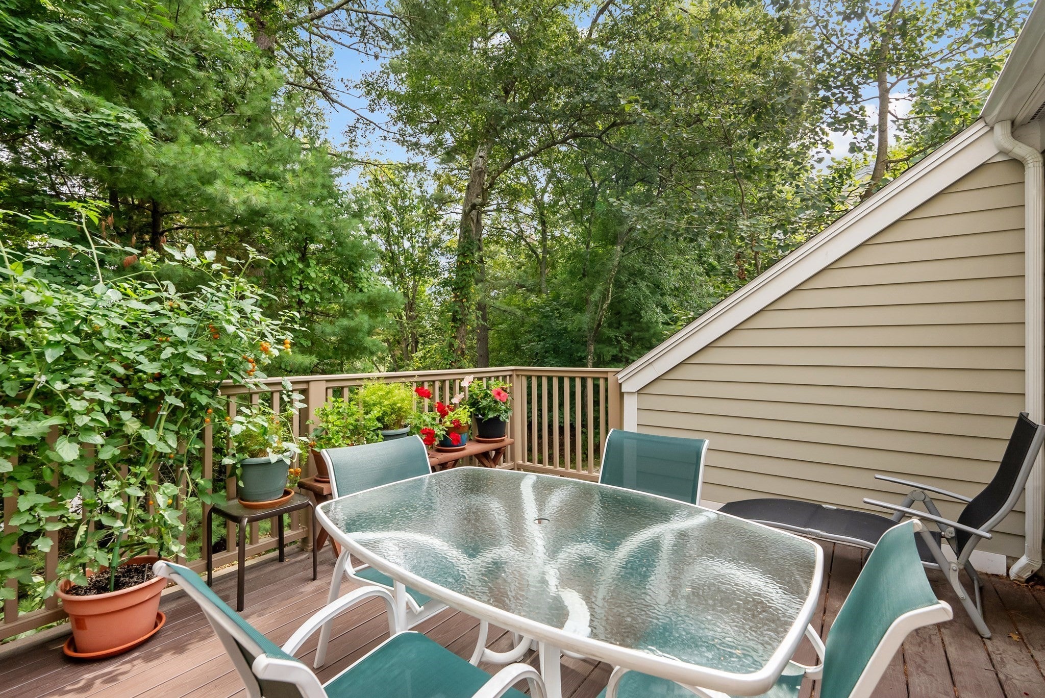 23 Fifer Ln #23, Lexington, MA, 23 Fifer Ln #23, Lexington, MA Photo #13