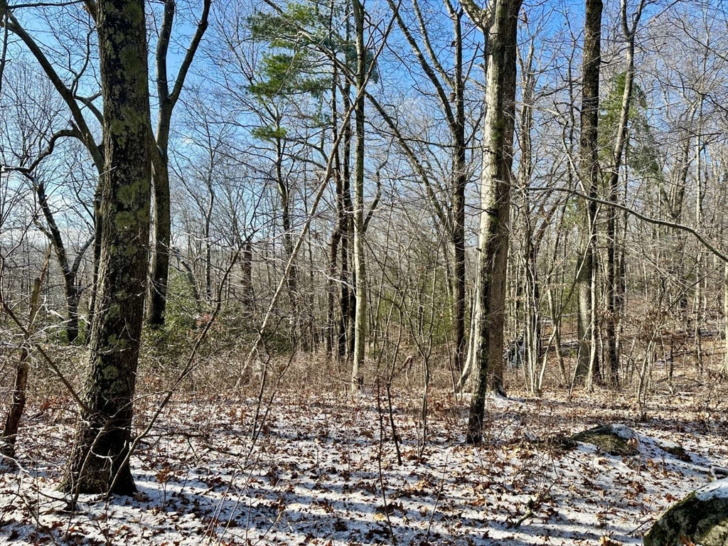 99 Burbank Road Lot 182