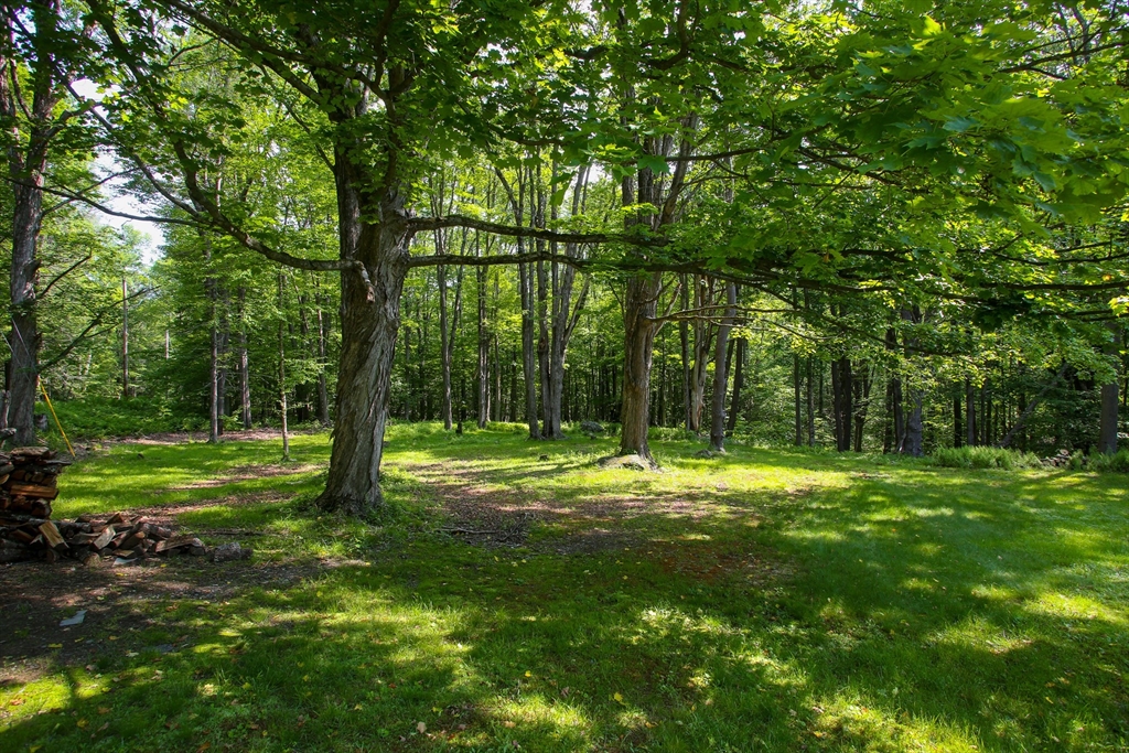 127 County Rd, Rowe, MA, 127 County Rd, Rowe, MA Photo #14
