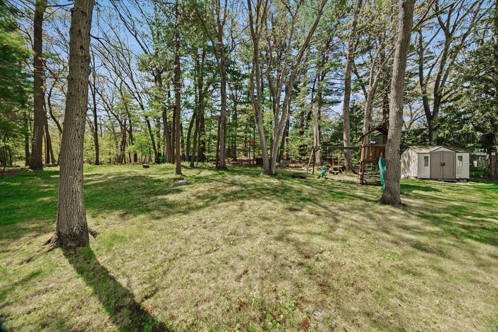 12 Westwood Ter, Westwood, MA Photo #8