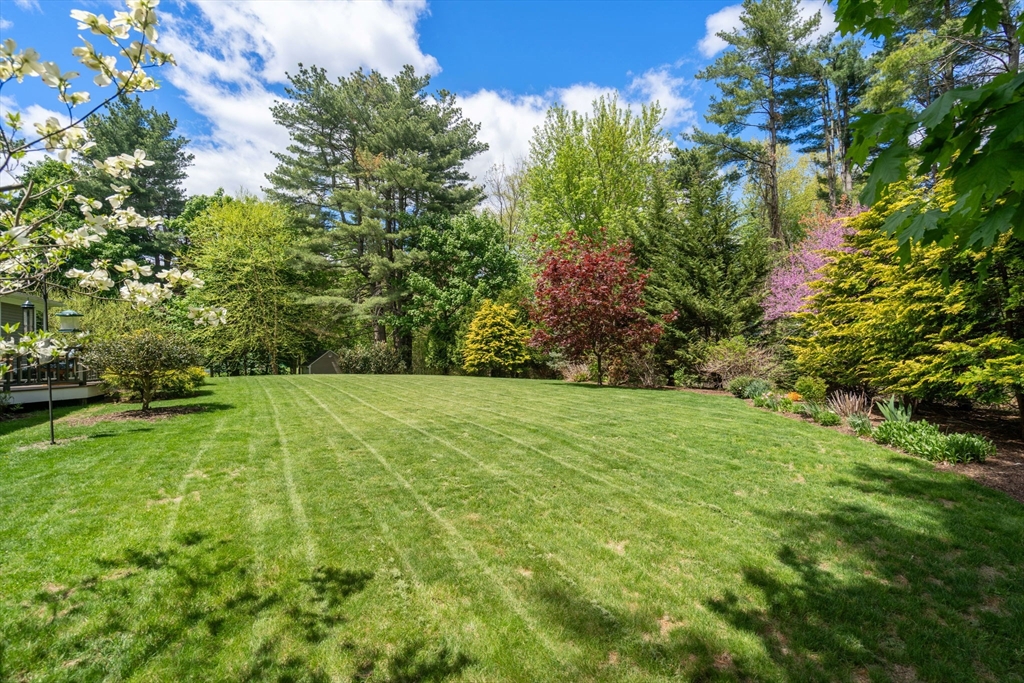 28 Brooks RD, Wayland, MA Photo #37