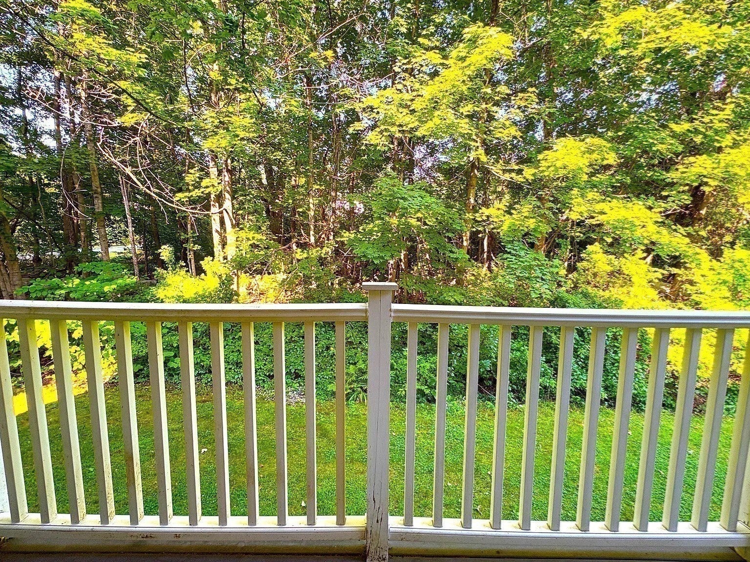 44 Evergreen Rd #202, Northampton, MA, 44 Evergreen Rd #202, Northampton, MA Photo #6