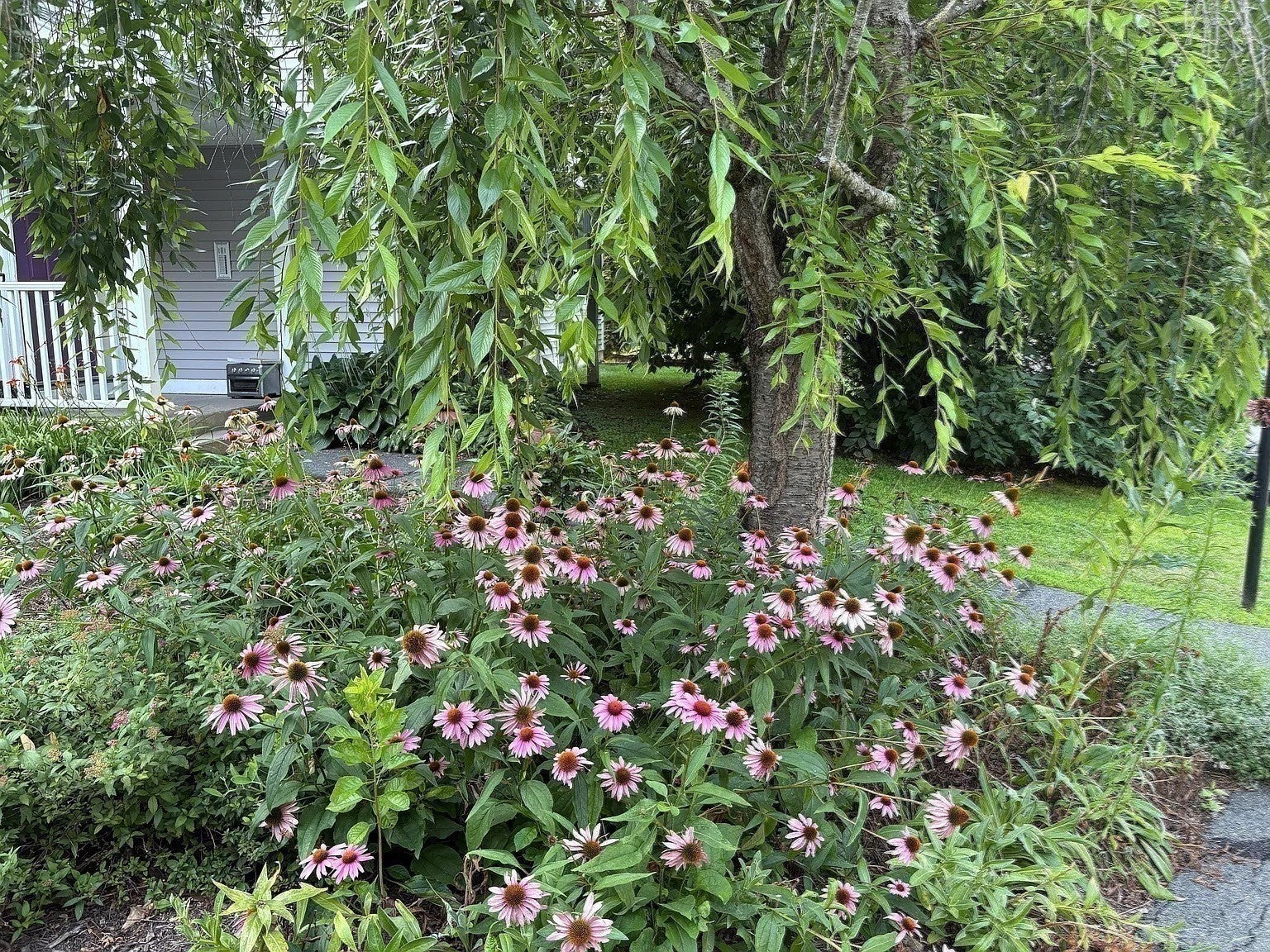 44 Evergreen Rd #202, Northampton, MA, 44 Evergreen Rd #202, Northampton, MA Photo #16
