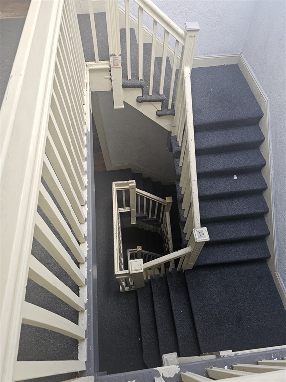 451 Norfolk St #12A, Boston, MA Photo #3