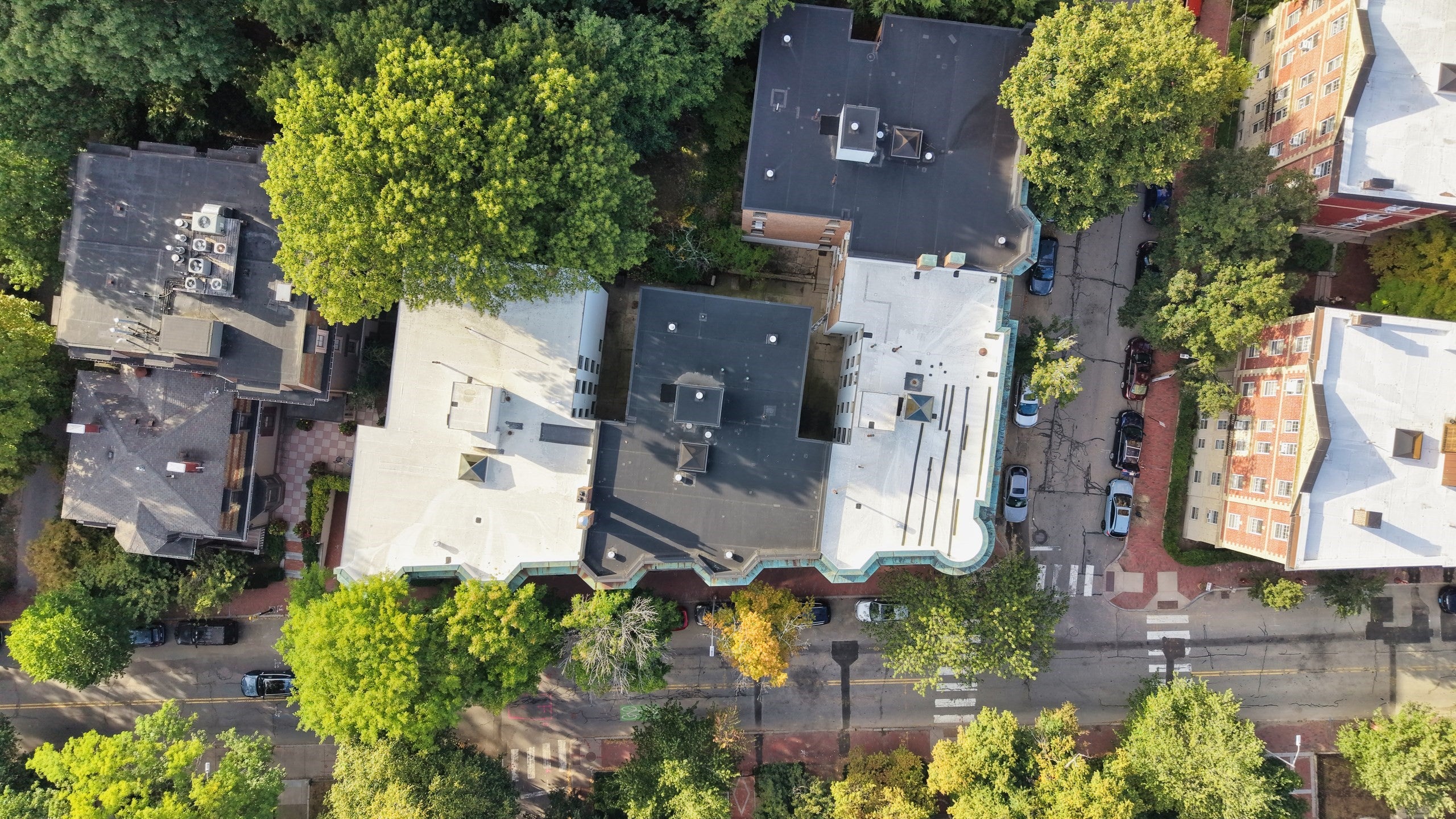 31 Linnaean St 2