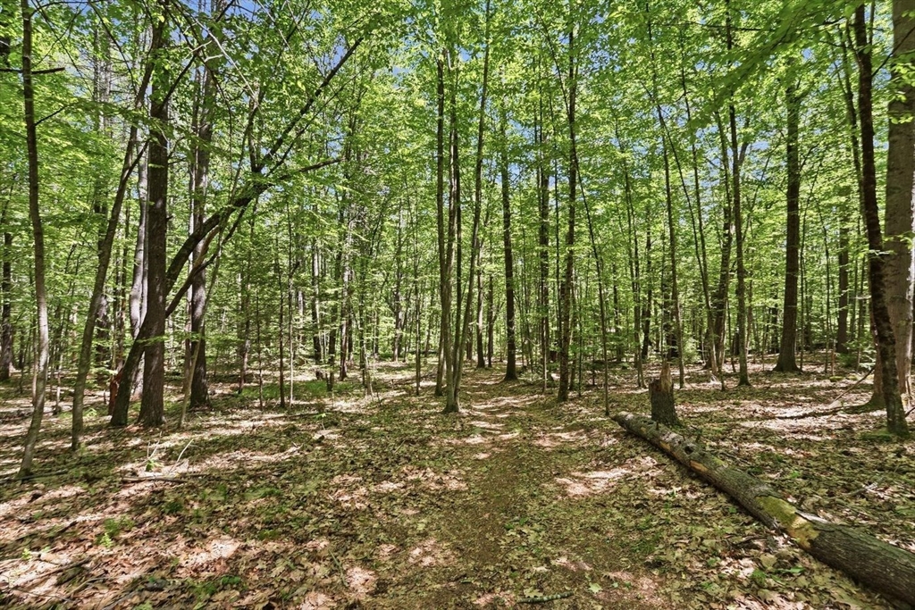 0 Carter Pond Road