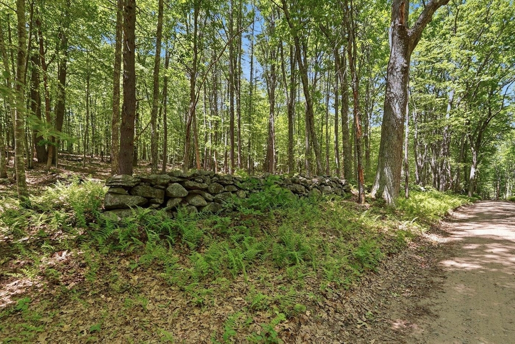 0 Carter Pond Road